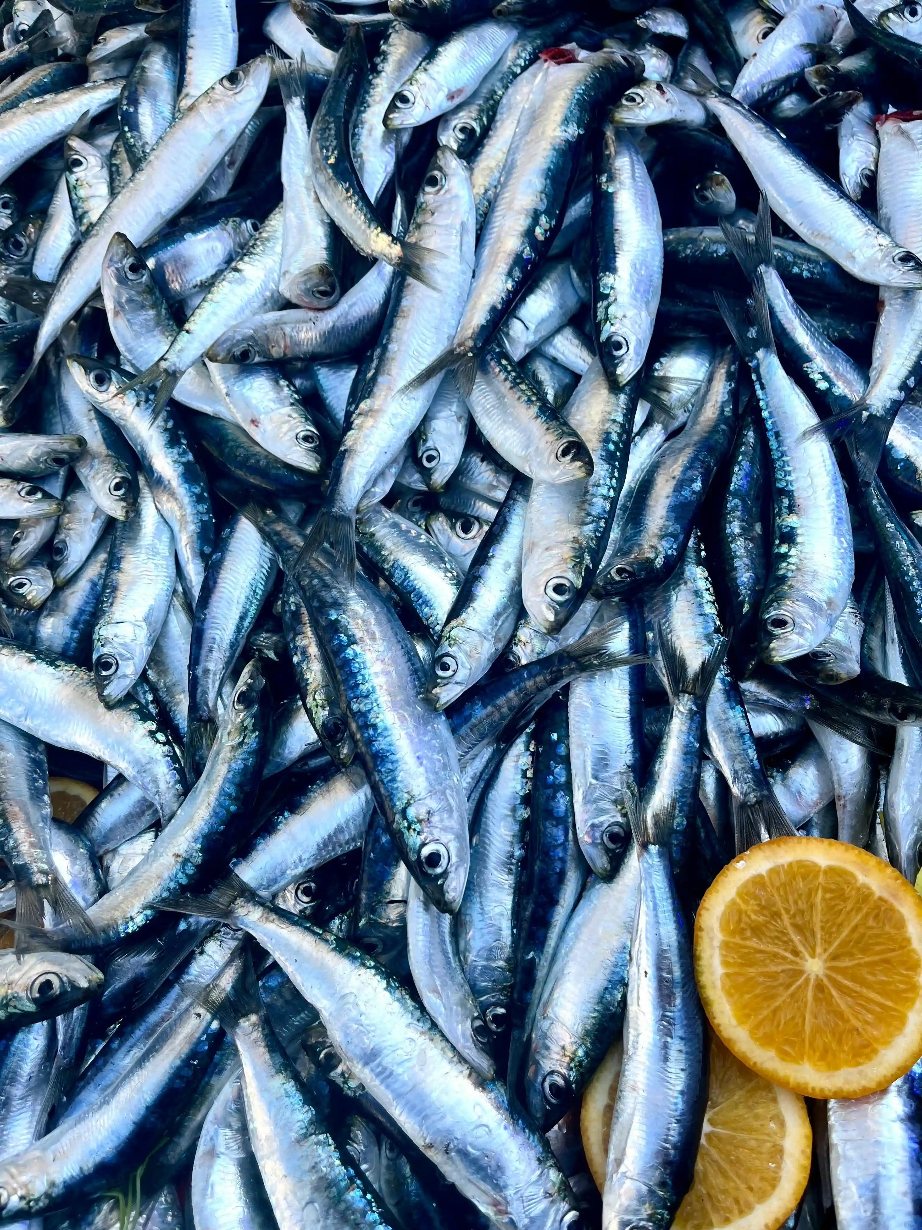 Fresh Fish